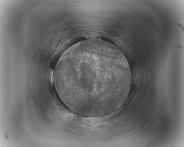 X0000102520041200808291807