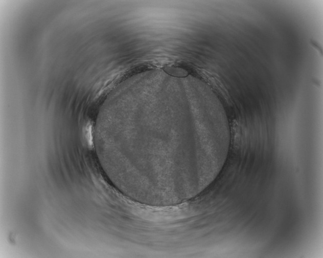 X0000102520042200808291807