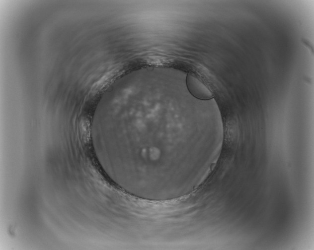 X0000102520043200808291807