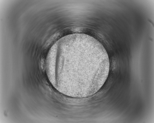 X0000102520044200808291807