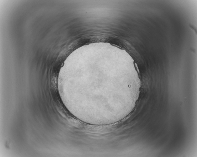 X0000102520045200808291807