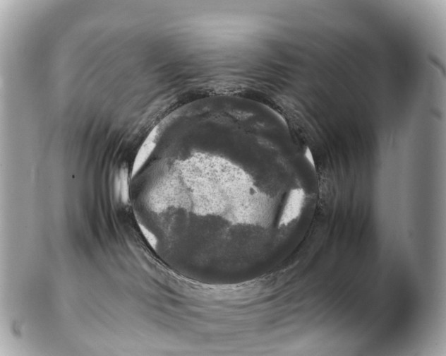 X0000102520046200808291807