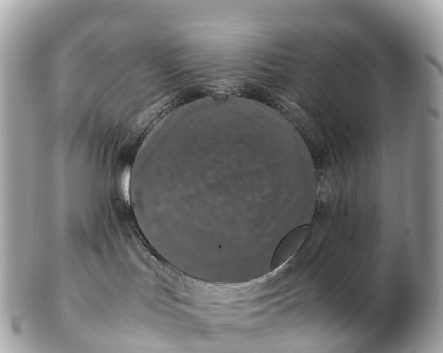 X0000102520047200808291807