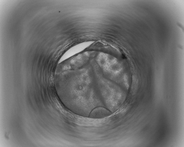 X0000102520048200808291807