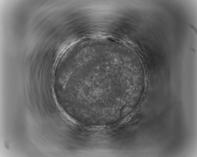 X0000102520049200808291806