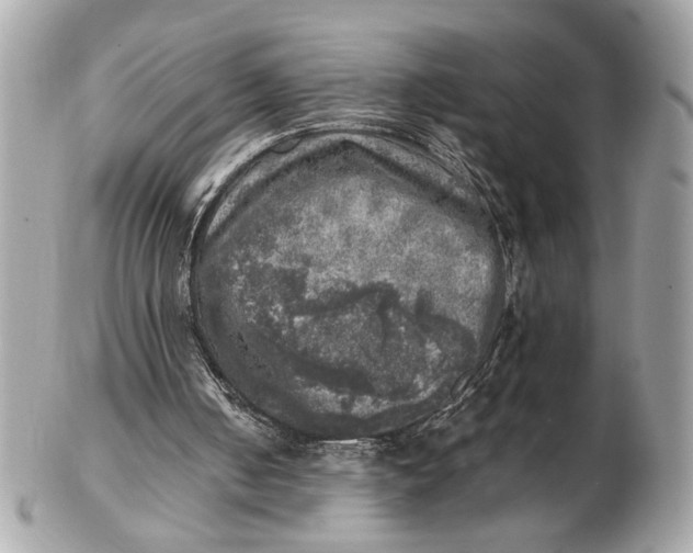 X0000102520050200808291806