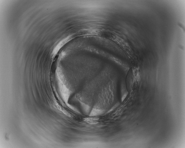 X0000102520051200808291806