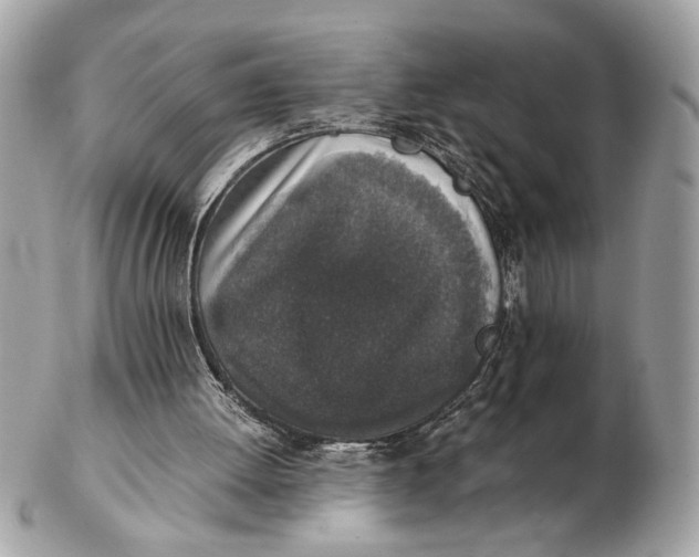 X0000102520052200808291806