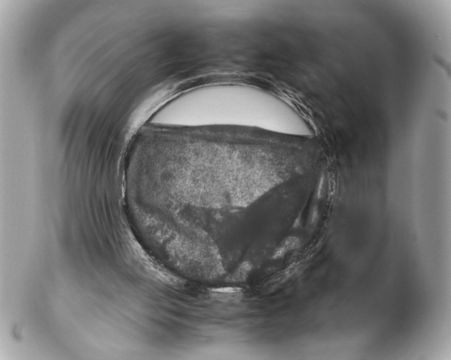 X0000102520053200808291806