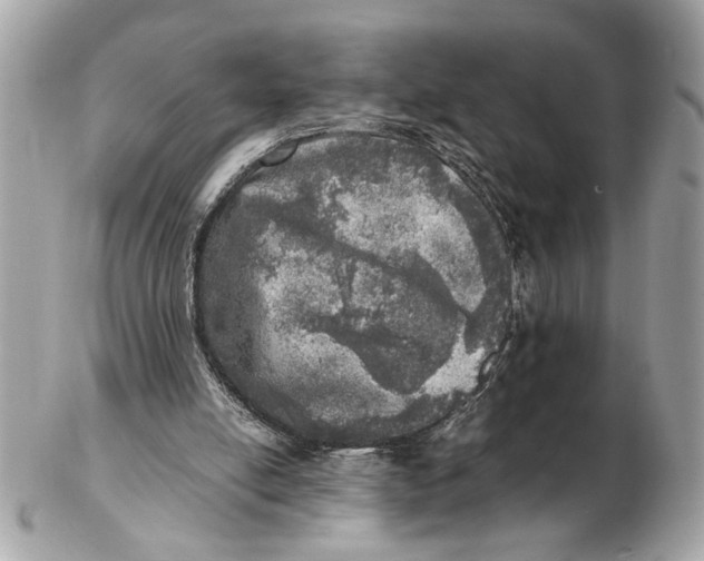 X0000102520054200808291806