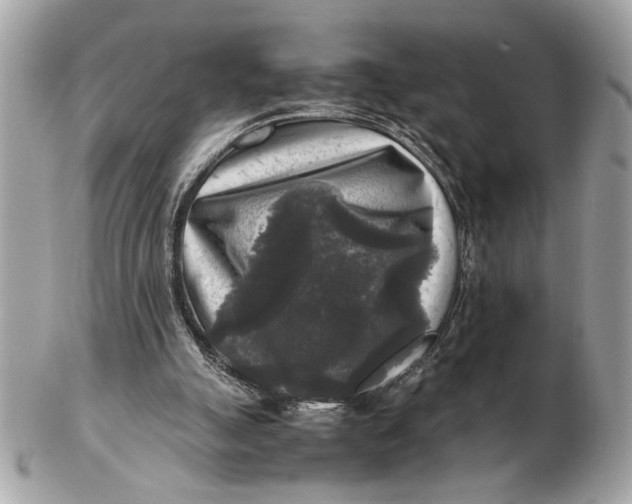 X0000102520055200808291806