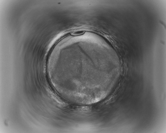 X0000102520056200808291806