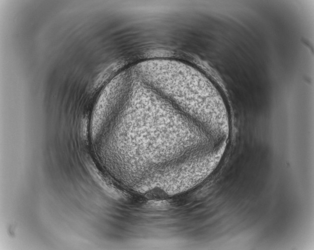 X0000102520057200808291806