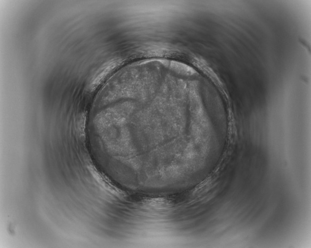 X0000102520058200808291806