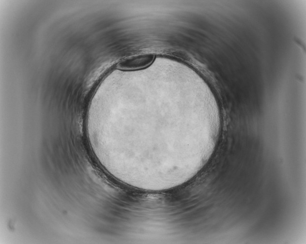 X0000102520060200808291806