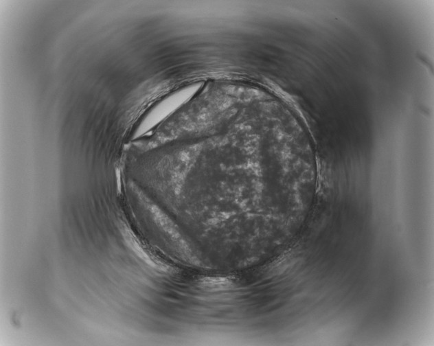 X0000102520061200808291806