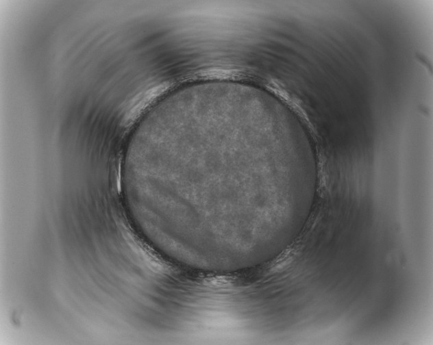 X0000102520062200808291806