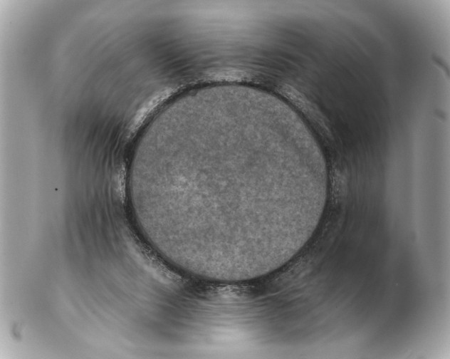 X0000102520064200808291806