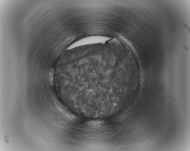 X0000102520065200808291806