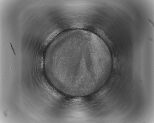 X0000102520068200808291806