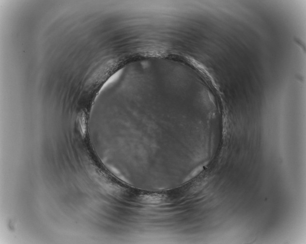 X0000102520069200808291806