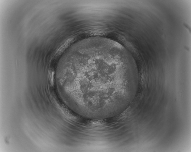 X0000102520070200808291806