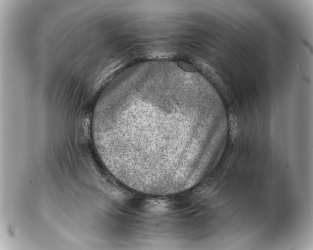 X0000102520071200808291806