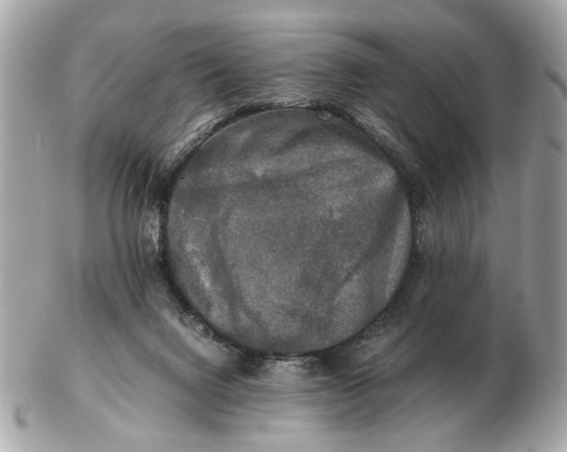 X0000102520072200808291806