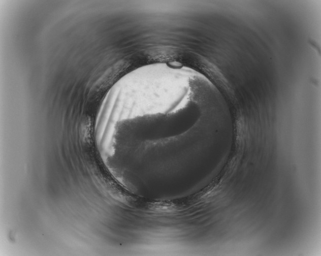 X0000102520073200808291806