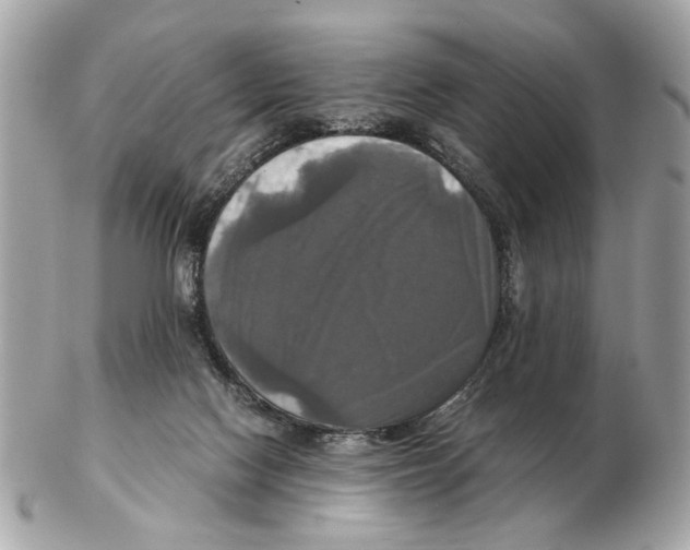 X0000102520074200808291806