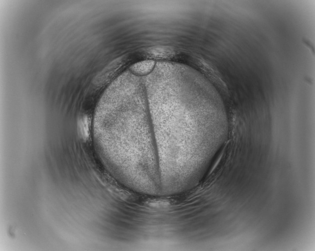 X0000102520075200808291806