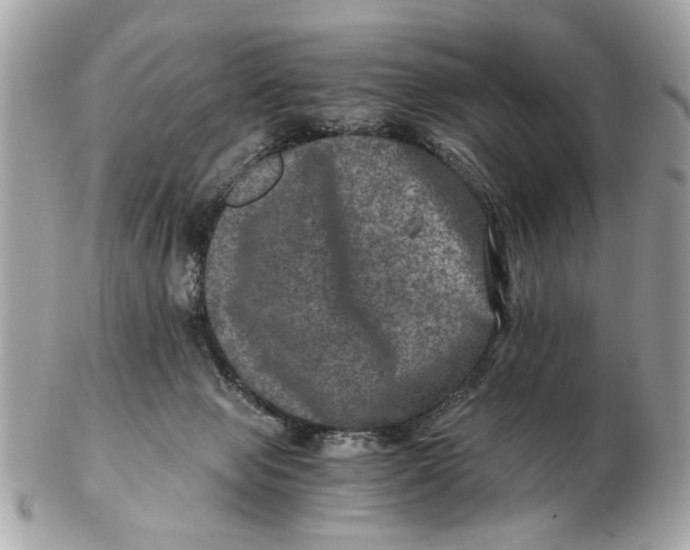 X0000102520077200808291806