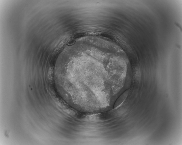 X0000102520078200808291806