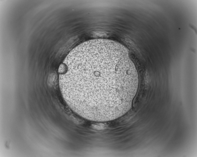 X0000102520079200808291807