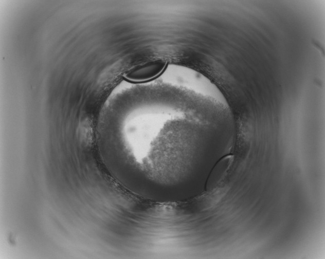 X0000102520080200808291807