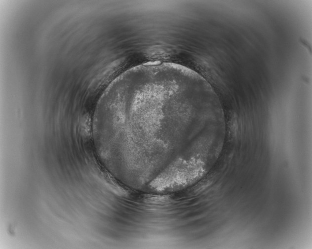 X0000102520081200808291807