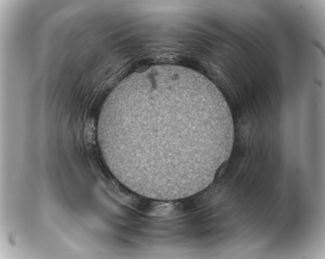 X0000102520083200808291807