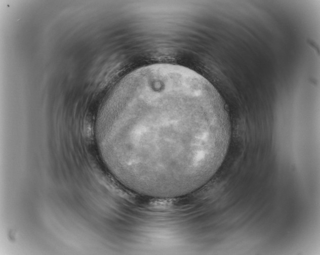 X0000102520084200808291807