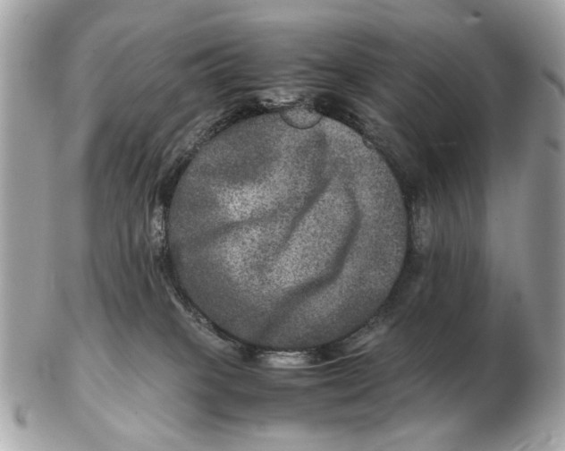 X0000102520085200808291807