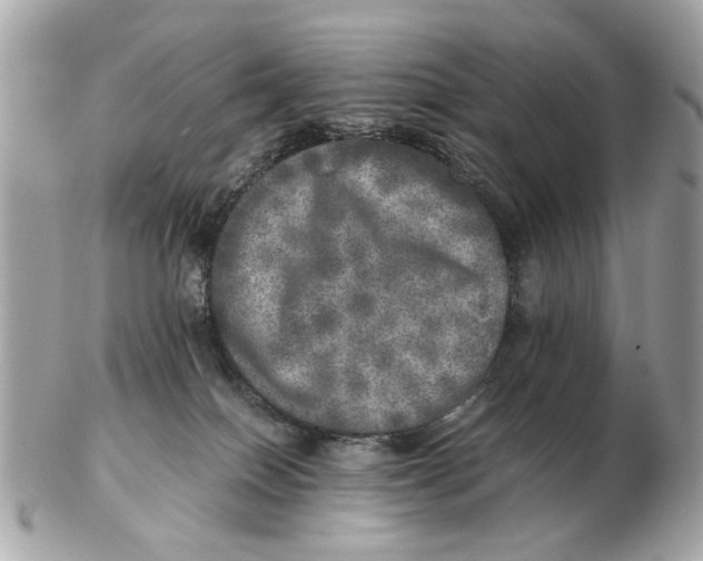 X0000102520086200808291807