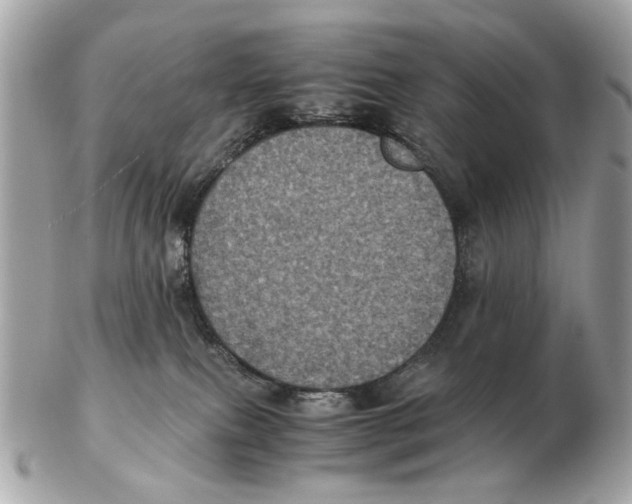 X0000102520087200808291807