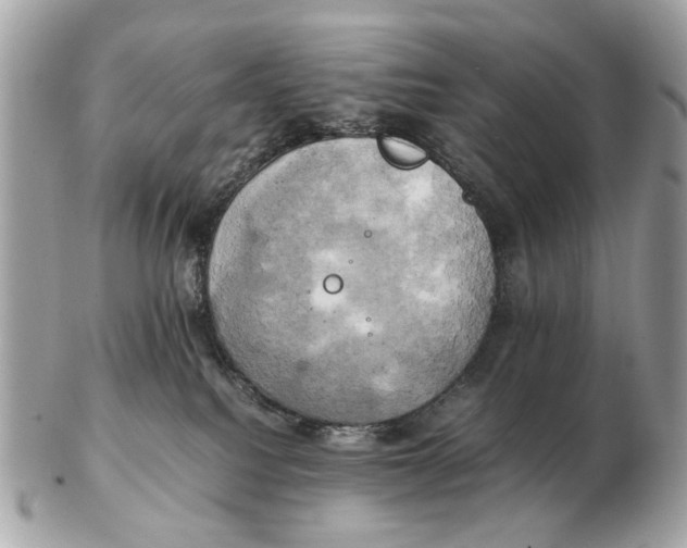 X0000102520088200808291807