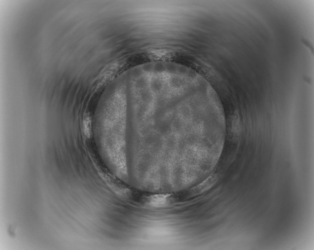 X0000102520090200808291807