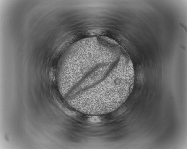 X0000102520091200808291807