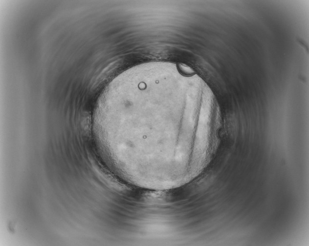 X0000102520092200808291807