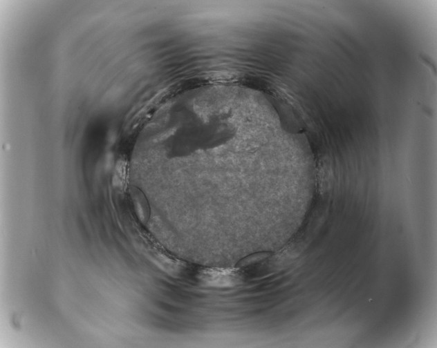 X0000102520093200808291807