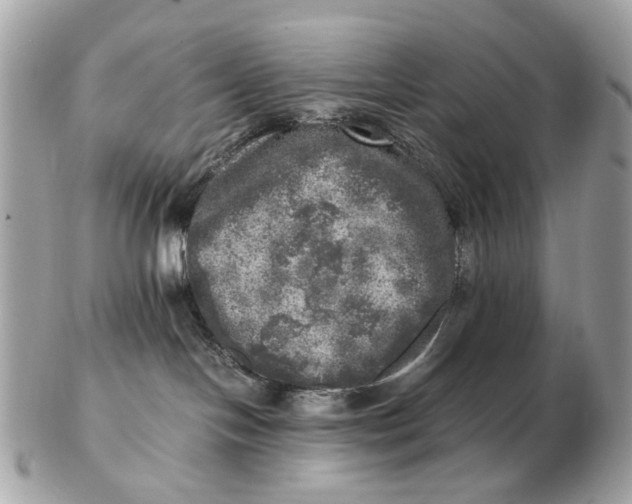 X0000102520094200808291807