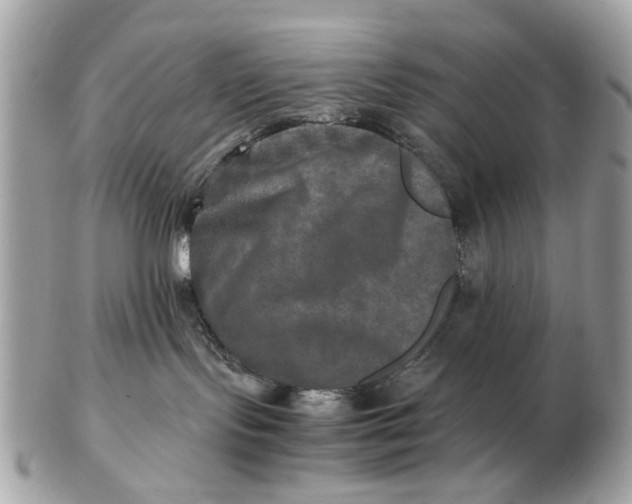 X0000102520095200808291807