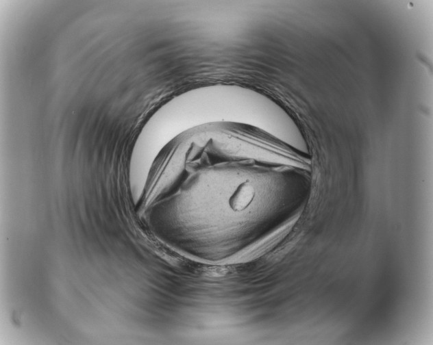 X0000102520096200808291807