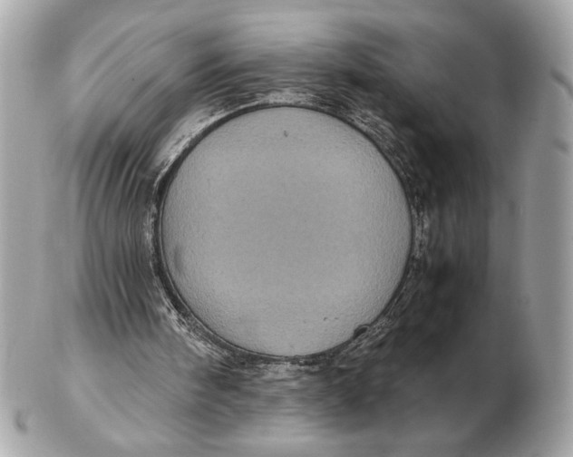 X0000102520098200808291806